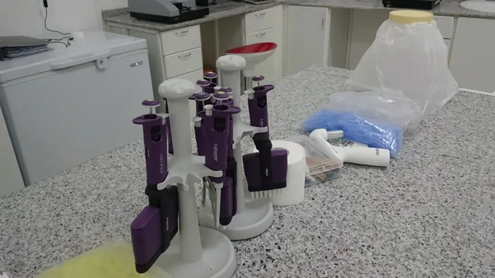 Pipettes and equipment on a laboratory bench