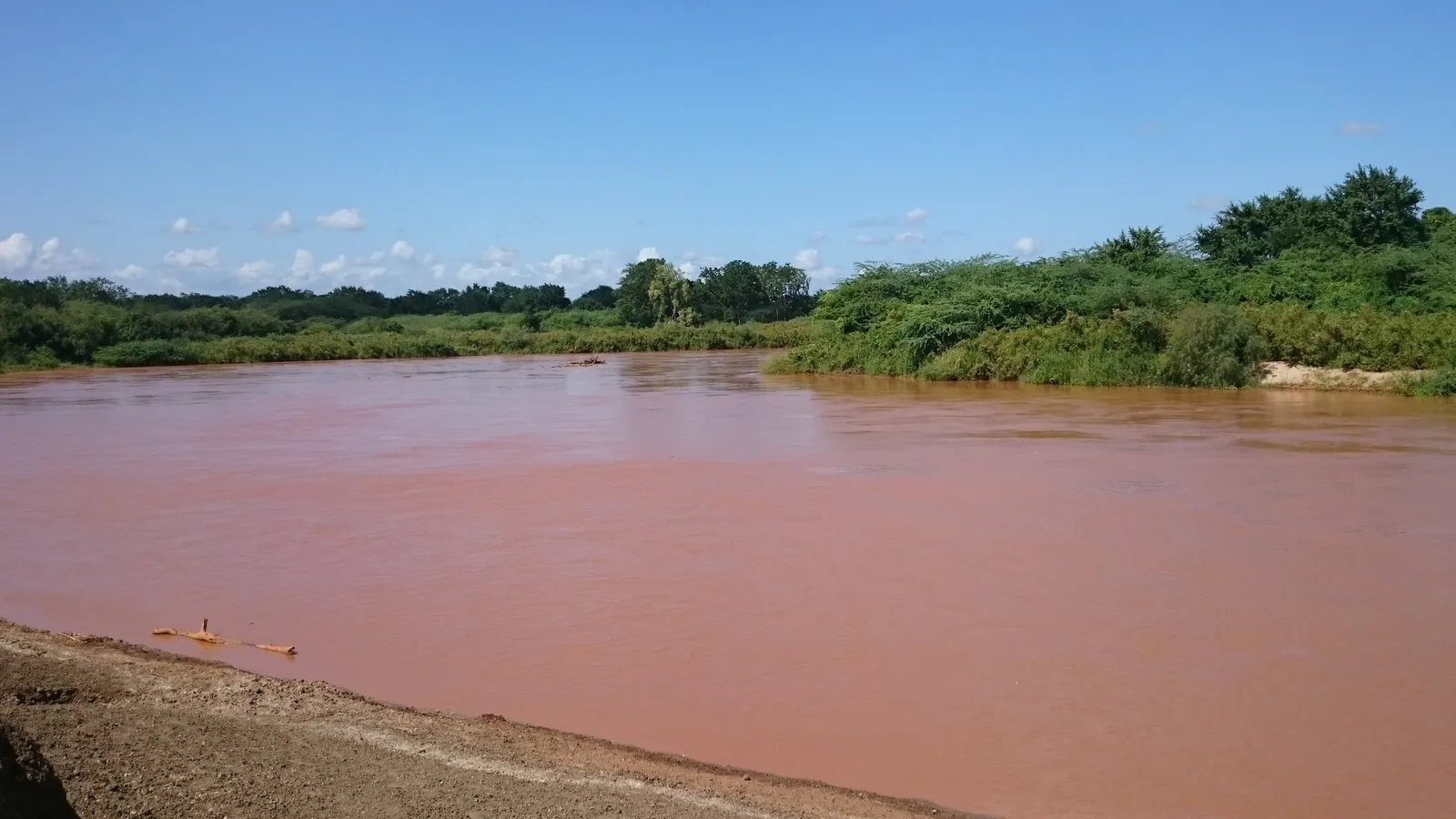 A wide brown river winding through green bush on the Coastal Riverside Farm, Kenya