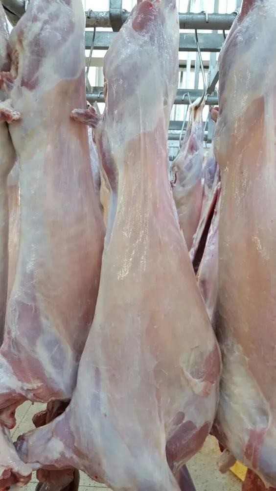 Well-finished goat carcasses hanging in a chiller