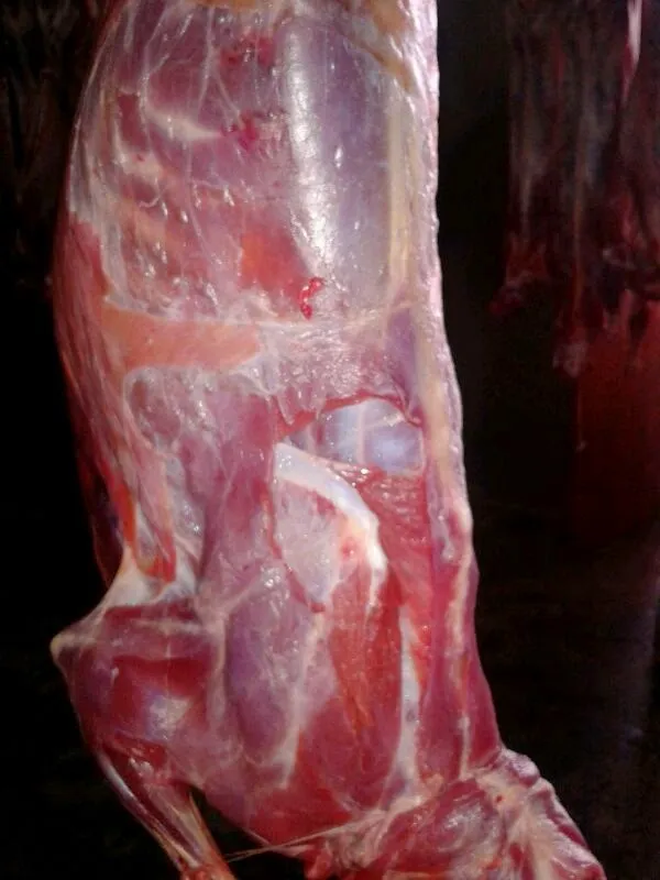 A poorly skinned goat carcass with visible damage