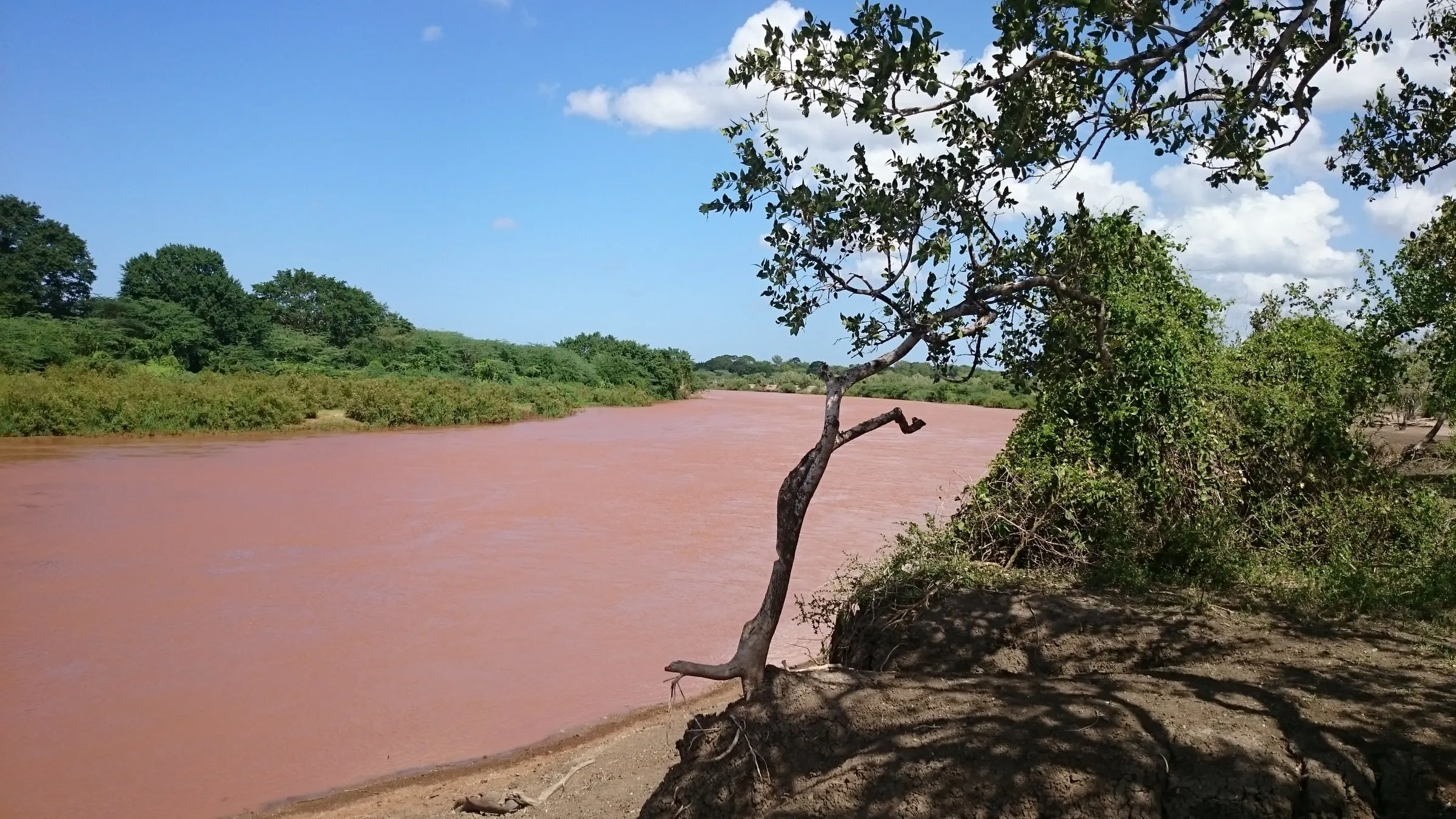 A wide brown river flowing between bushland banks